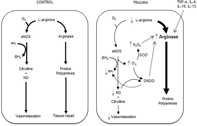 FIG. 9.