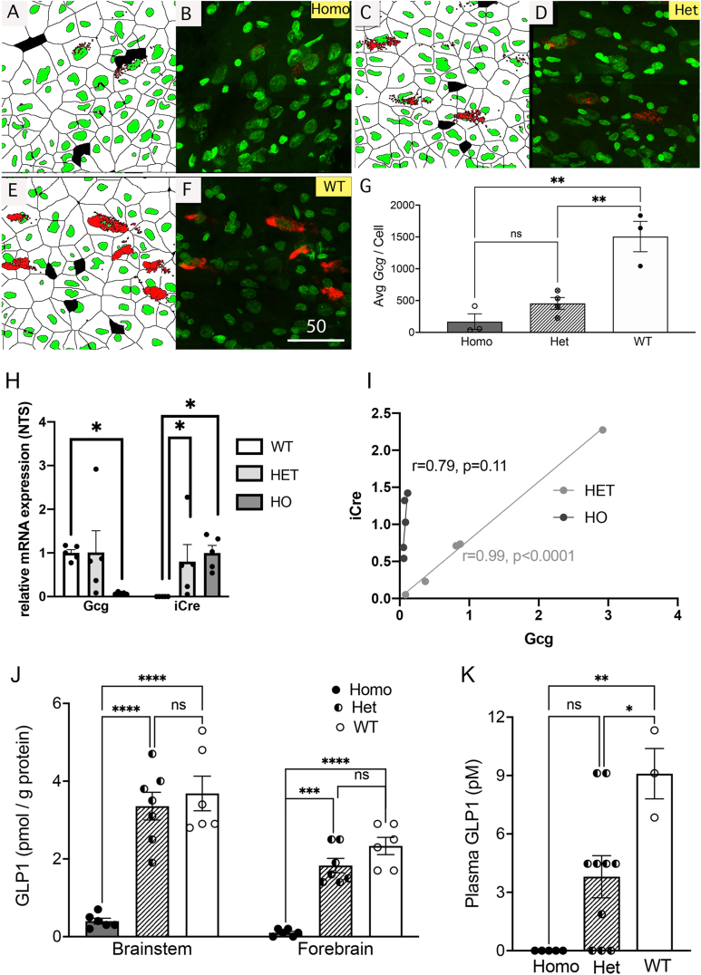 Figure 5