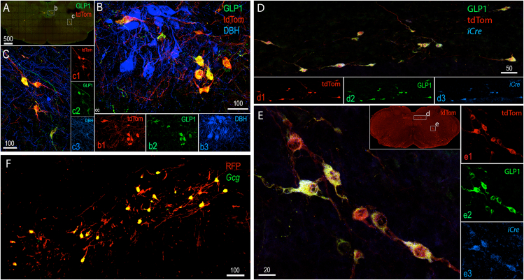 Figure 3