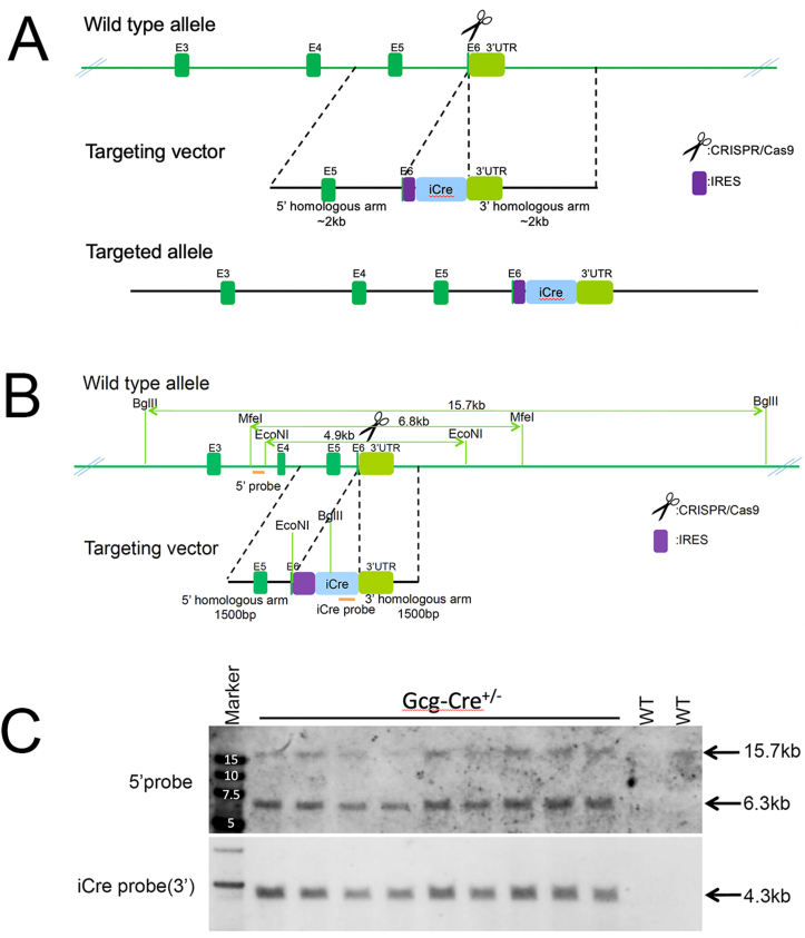 Figure 1