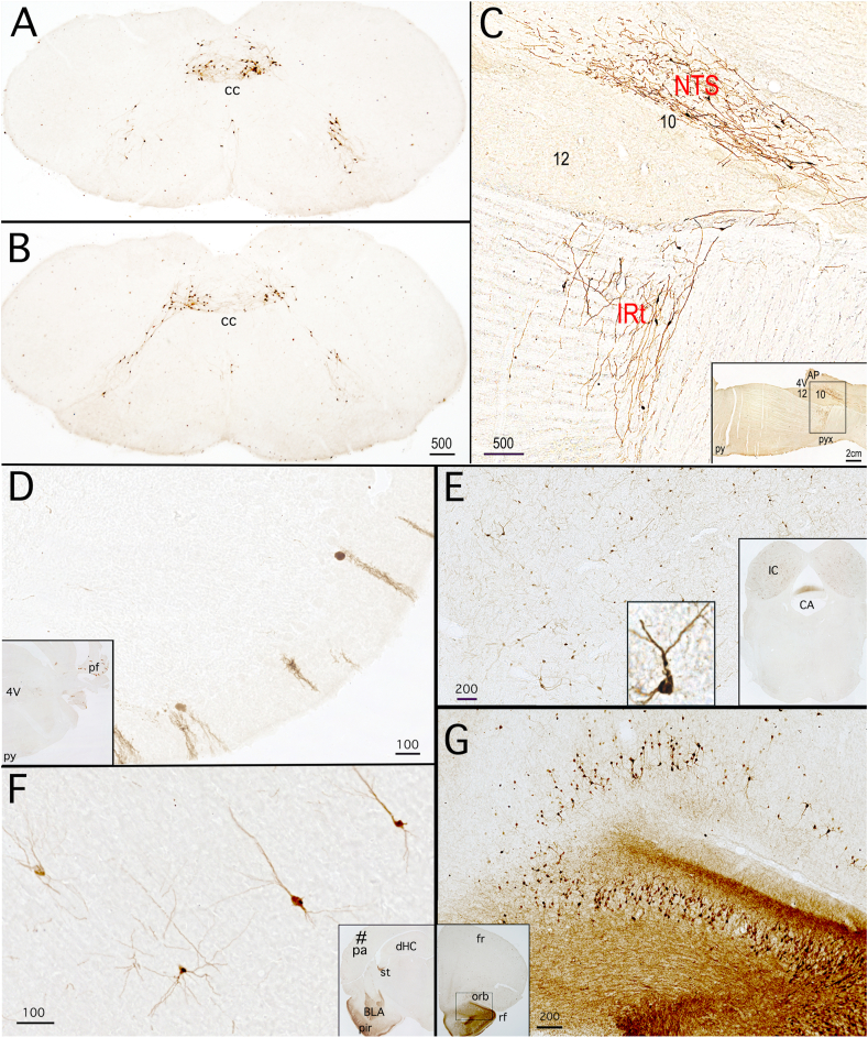 Figure 6