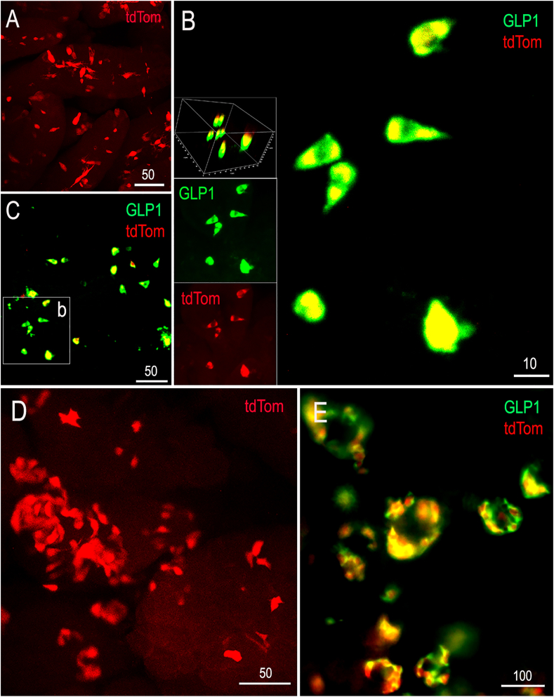 Figure 7