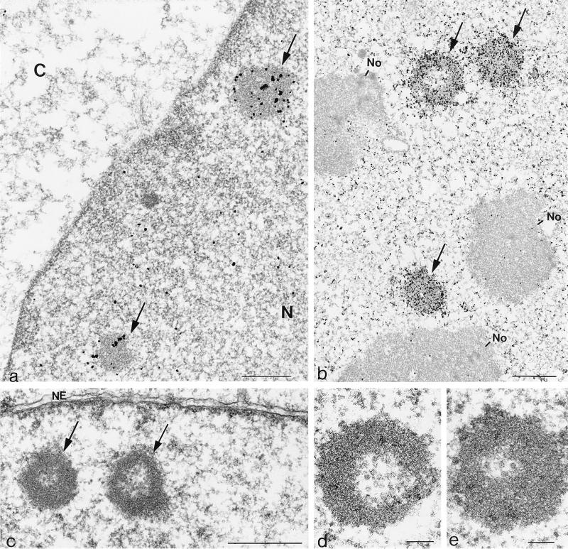 FIG. 7