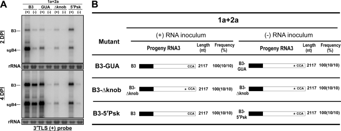 Fig 8