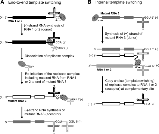 Fig 12