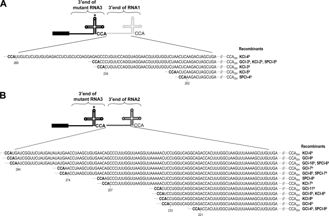 Fig 5