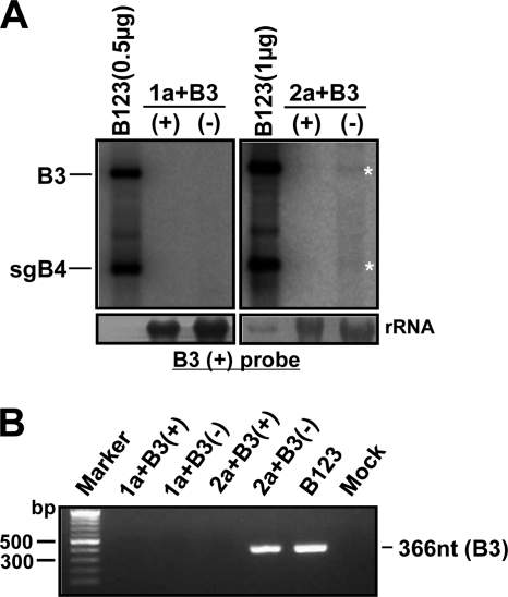 Fig 11