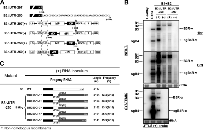 Fig 10