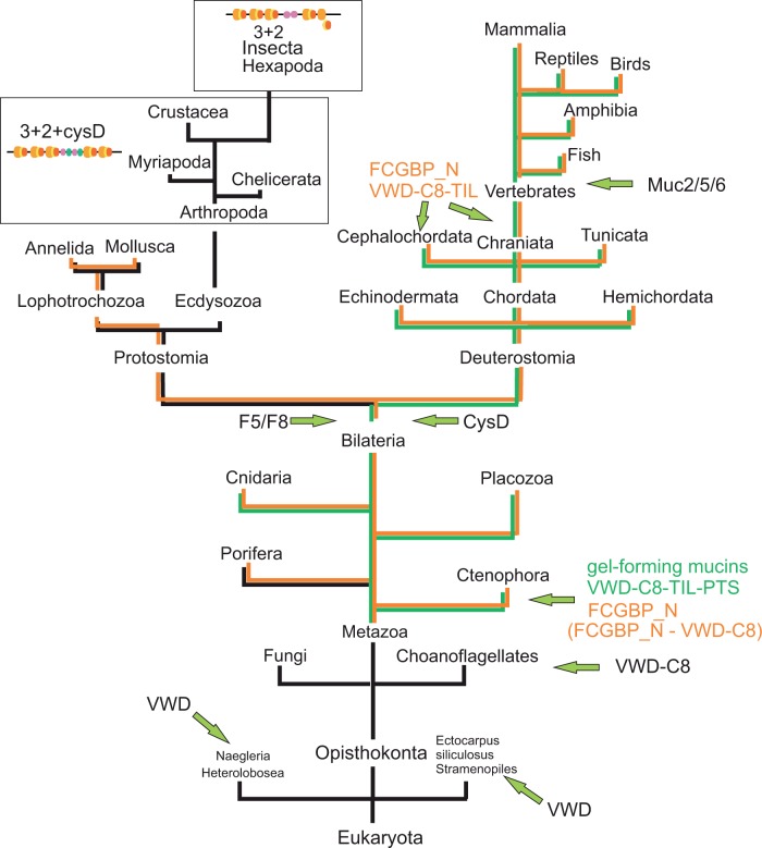 Fig. 8