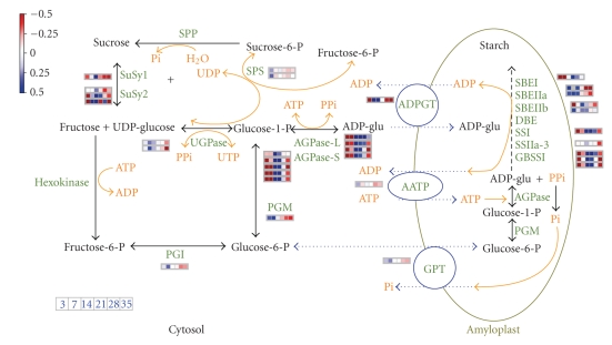 Figure 9