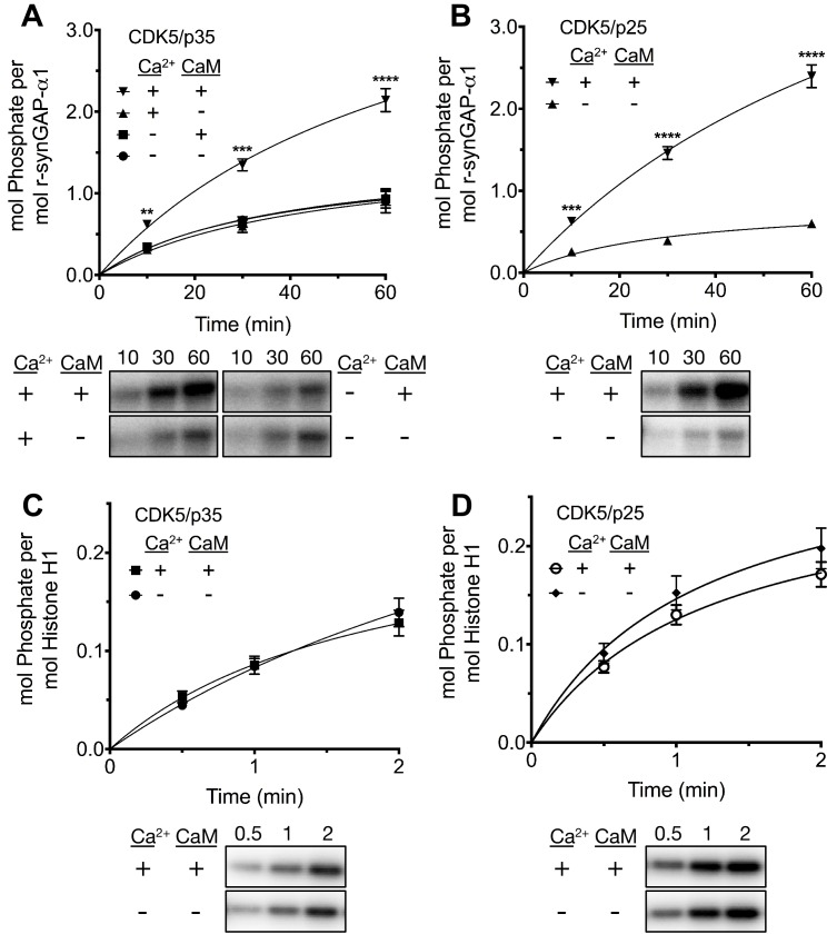 graphic file with name elife-22495-fig1.jpg