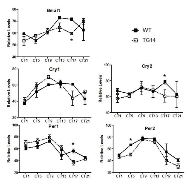 Figure 5