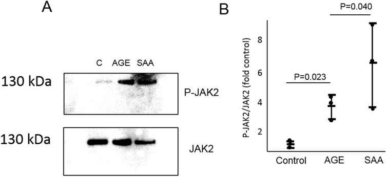 Fig 5