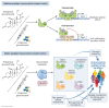 Graphical Abstract
