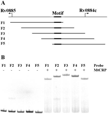 FIG. 8.