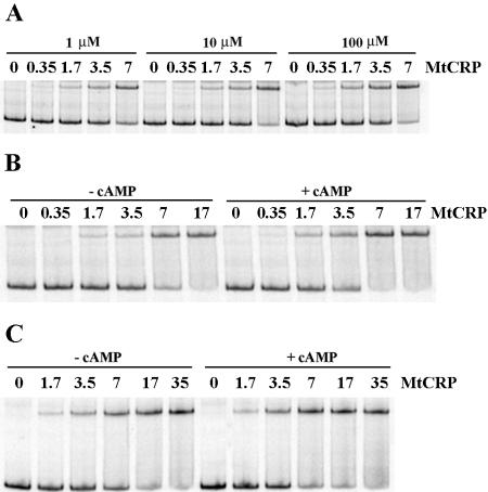 FIG. 6.