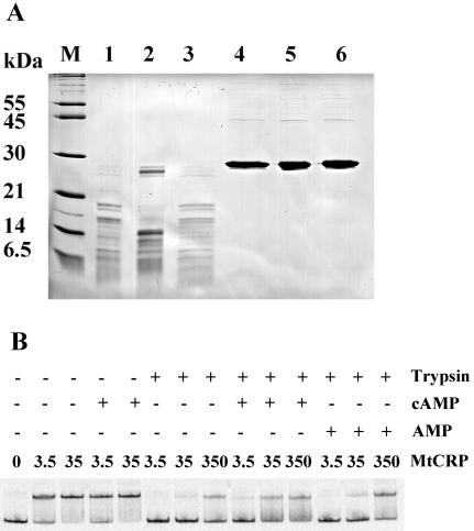 FIG. 7.