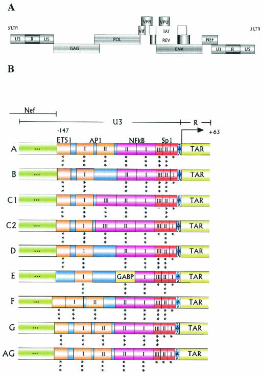 FIG. 1.