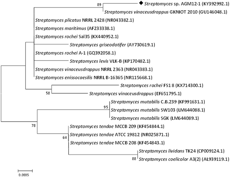 FIGURE 3