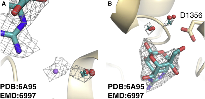 Fig. 4: