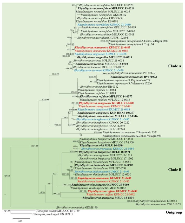 Figure 1