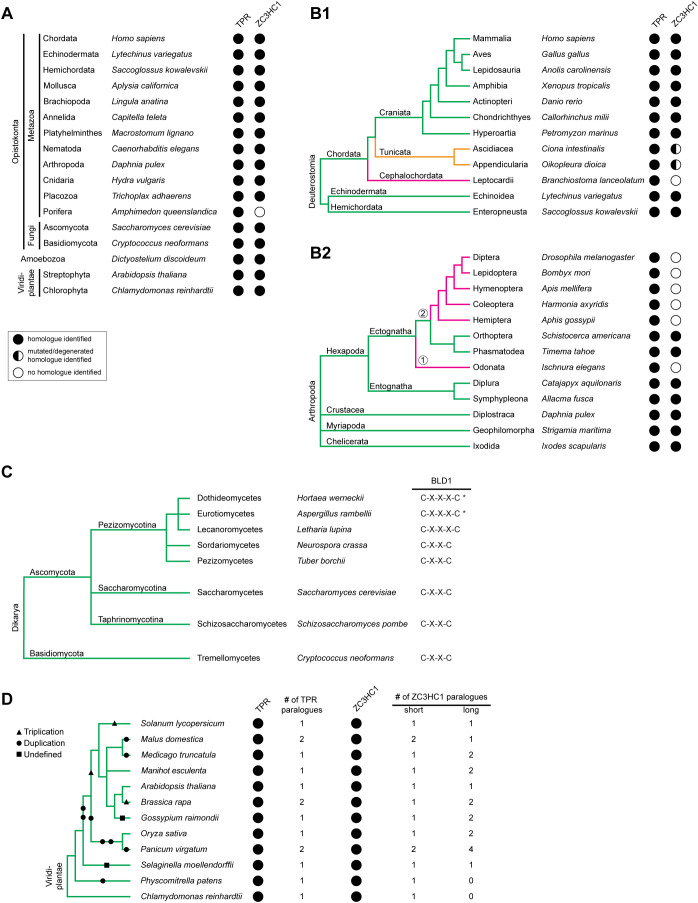 FIGURE 3: