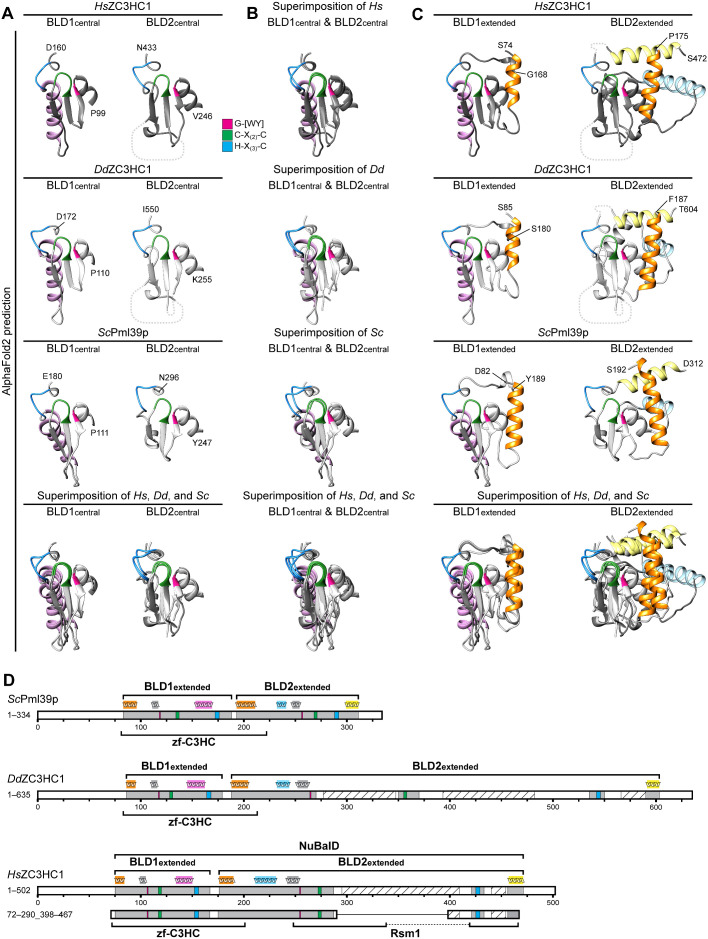 FIGURE 6: