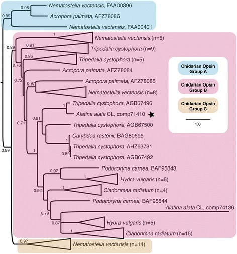 Fig. 11