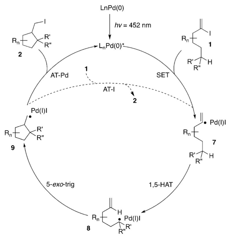 Scheme 3