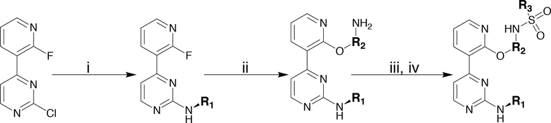 Scheme 1