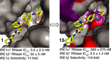 graphic file with name nihms-1055716-f0001.jpg