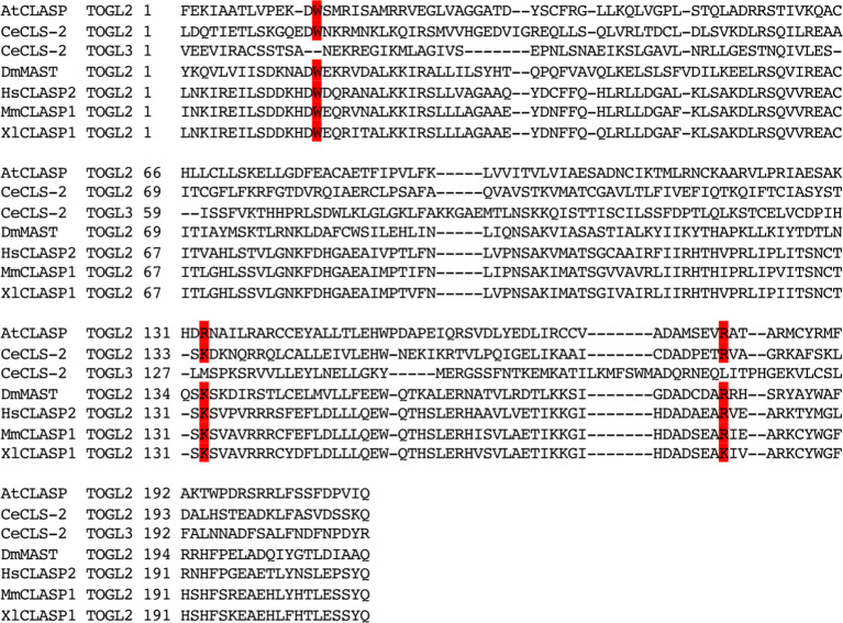 Figure 5—figure supplement 2.