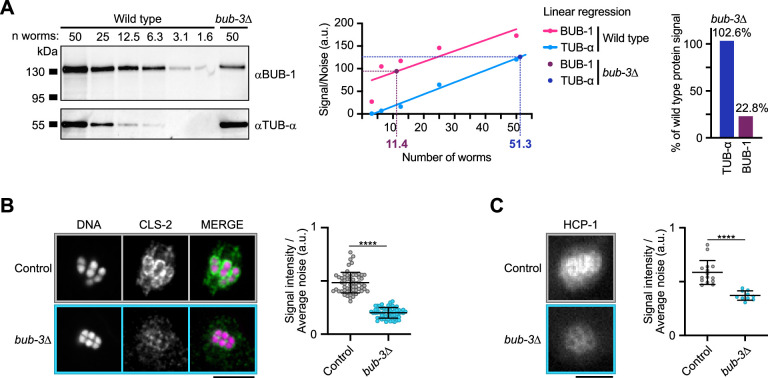 Figure 1—figure supplement 1.