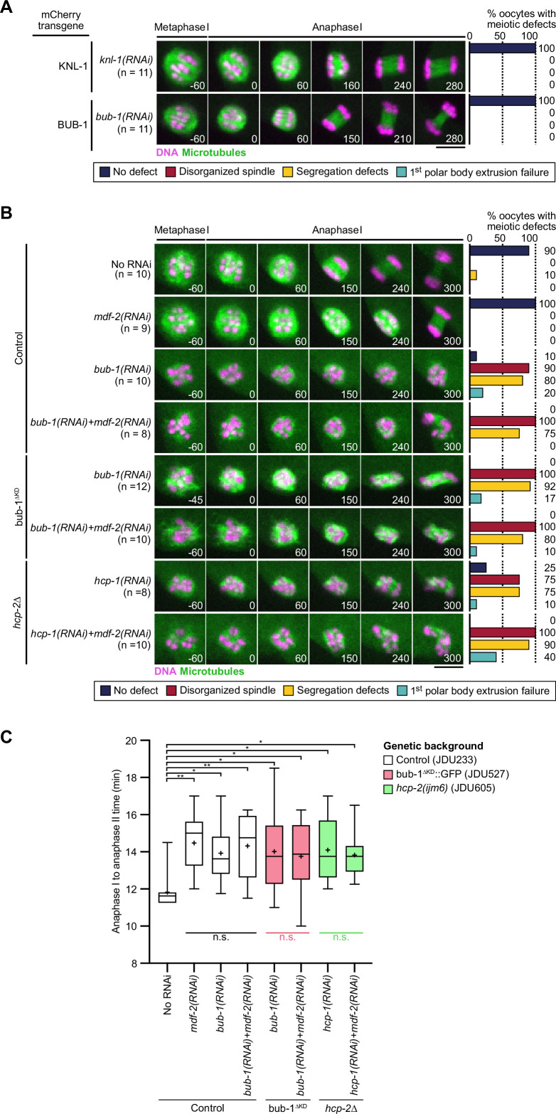 Figure 3—figure supplement 1.