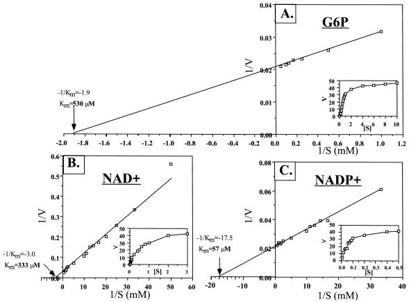 FIG. 7