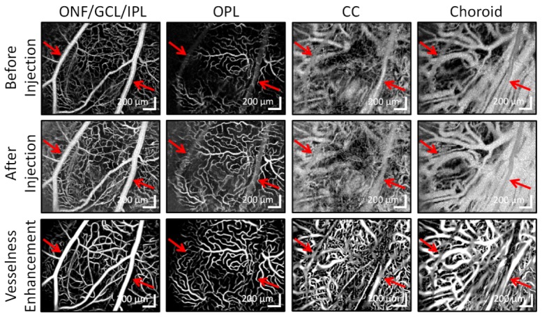 Fig. 4