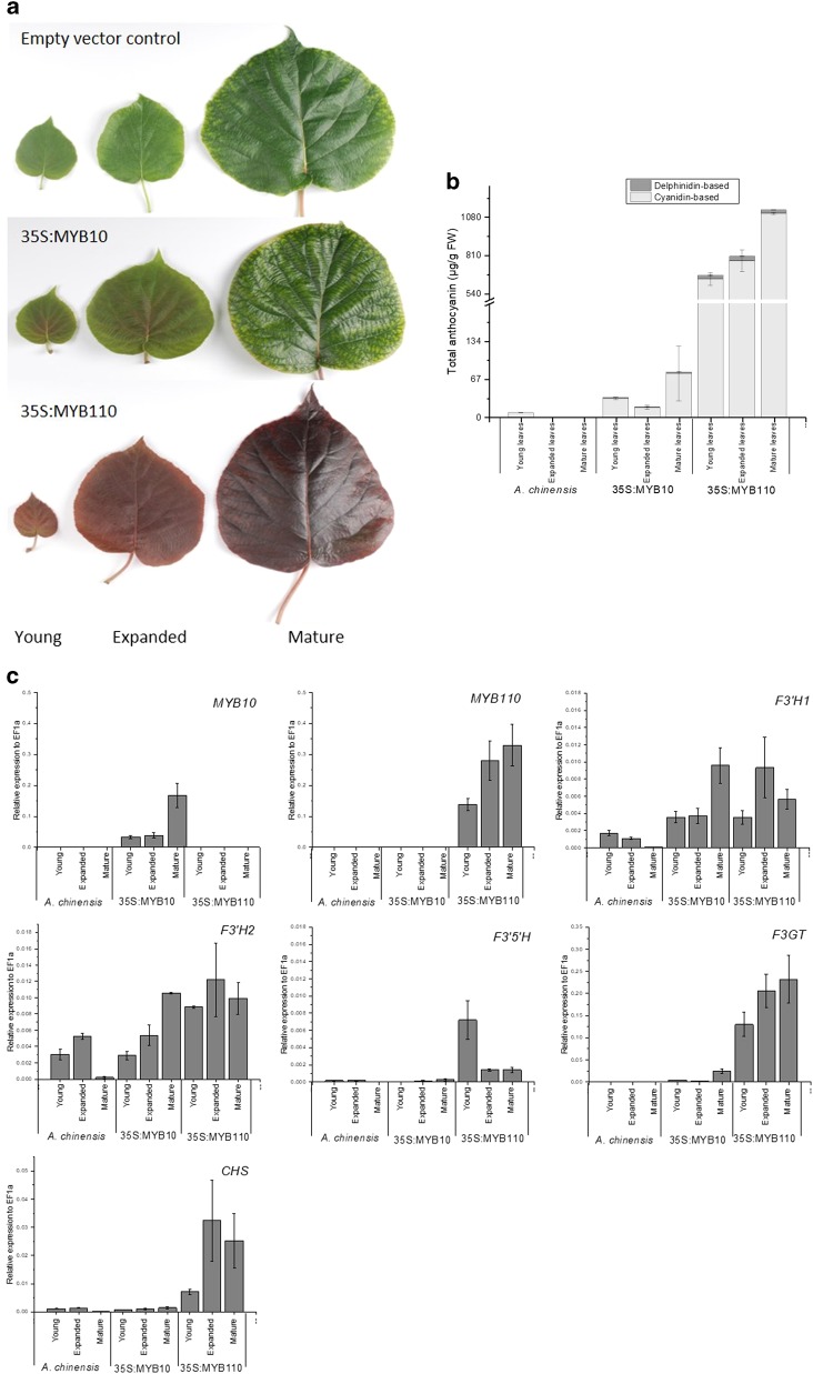 Fig. 8