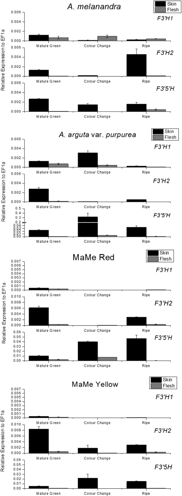 Fig. 4