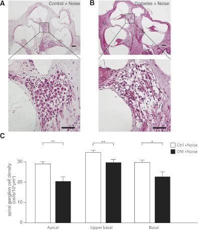 FIG. 6.