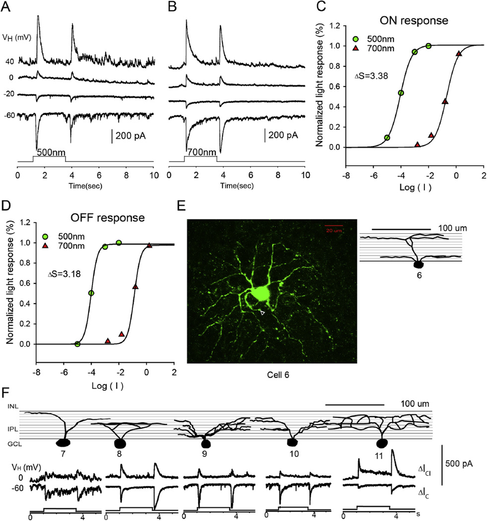 Fig. 4