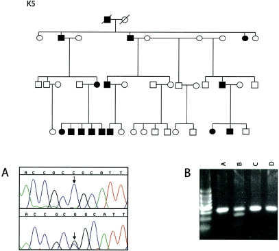 Figure  4