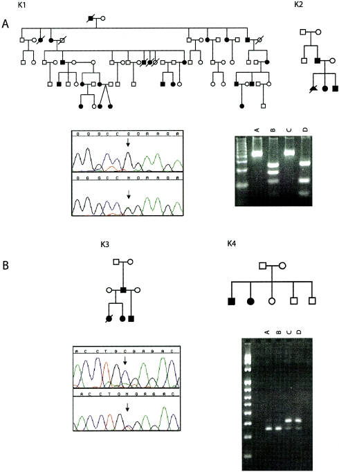 Figure  2