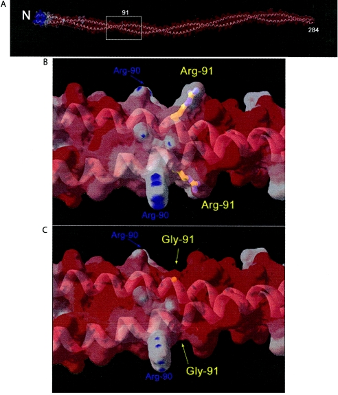 Figure  6