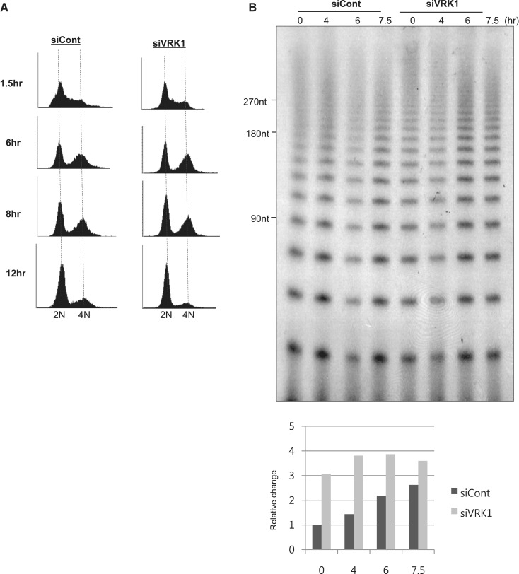 Figure 5.