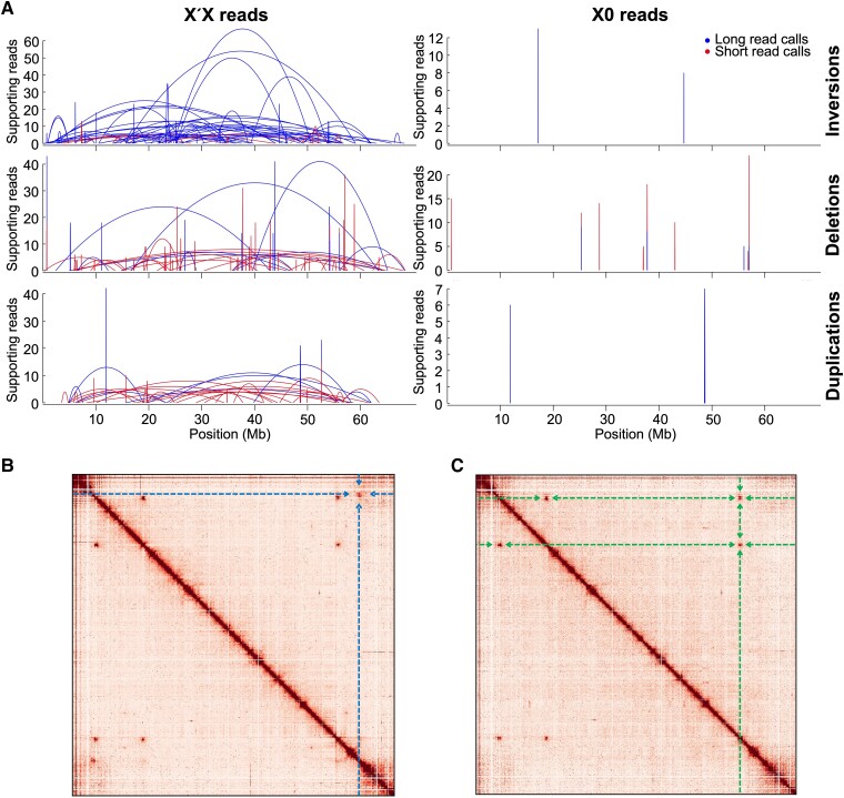 
Fig. 2.