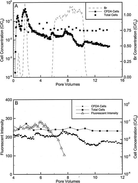 FIG. 6.