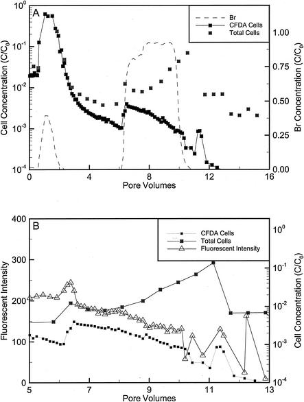 FIG. 5.