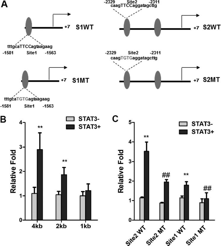 FIGURE 6.