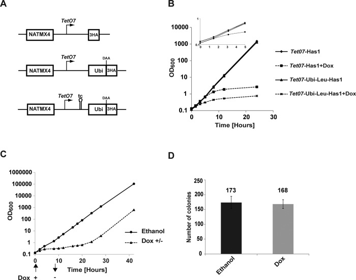 FIGURE 1: