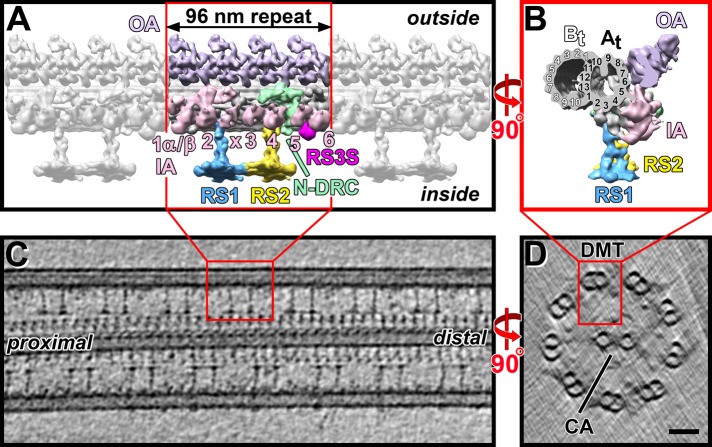 FIGURE 1: